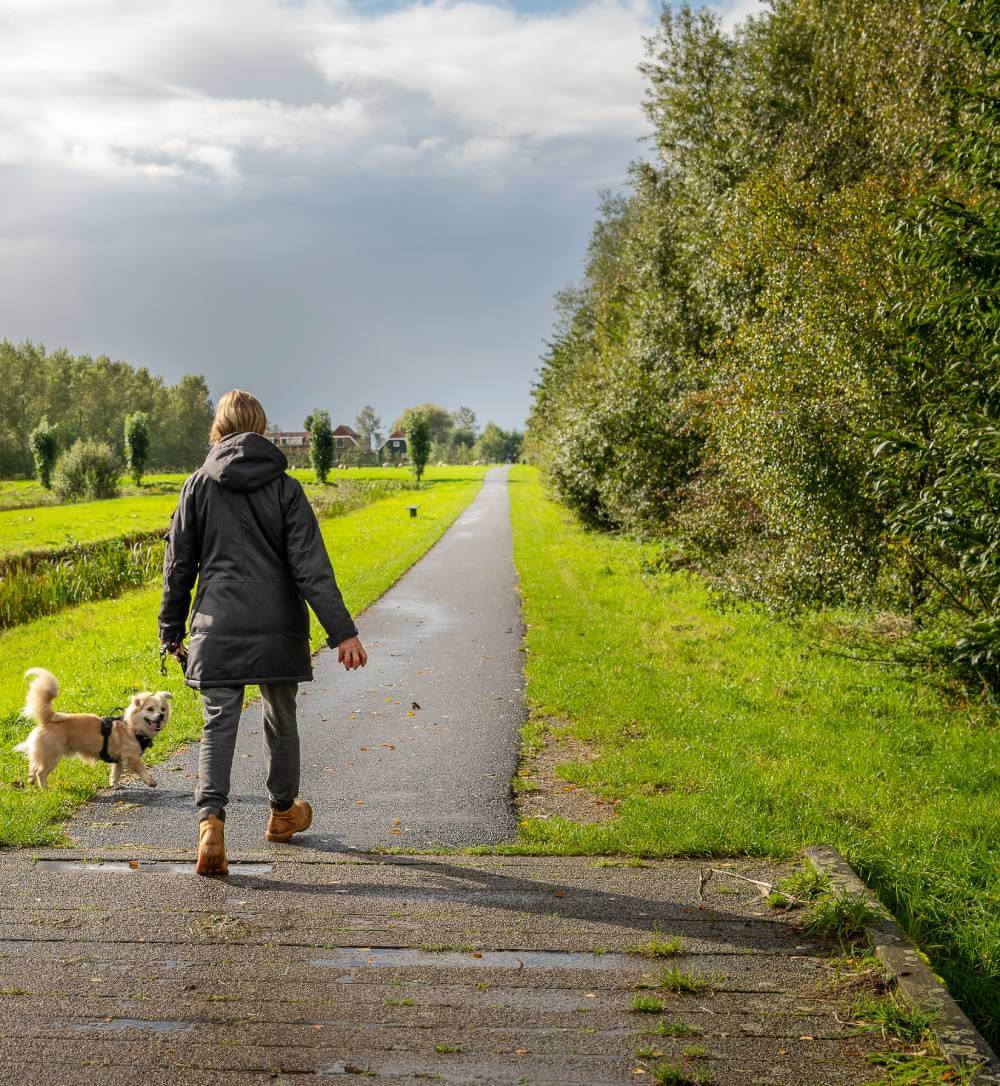 Lady walking with dog